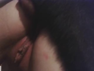 Brunette Milf Pussy Grinding Porn Xxx