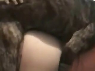 Korean Girls Porn Xxx