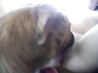 Melek Ozcagan Xxx Porn