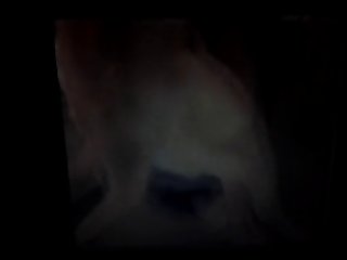 Swallow Cum Porn Xxx