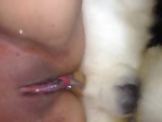 Elisa Ann Costa Xxx Porn