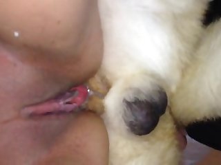 Elisa Ann Costa Xxx Porn