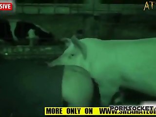 Sex Xnxx Xxx Videos