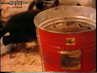 Human X Animal Sex Gif