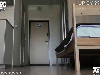 First Time Animal Sex Videos