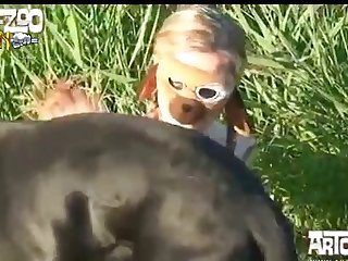 Female And Animal Sex Videos