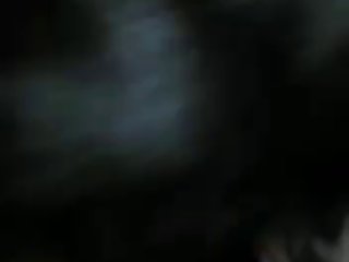 Animal Sex Meating