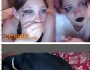 Treat Me Like A Dog Porn