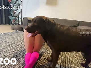 Bridgette B Hot Dog Porn