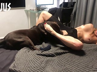 Husband And Wife Dog Porn