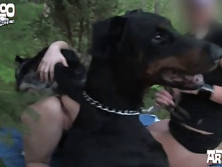 Tracy Dog Porn