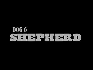 Ai Dog Porn Videos