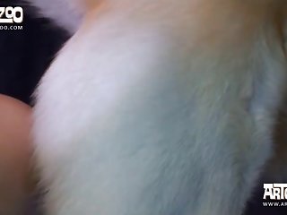 Animal Dog Xxx Deutsch