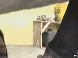 Zoo Porn Trio