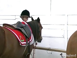 Liveleak Animal Sex