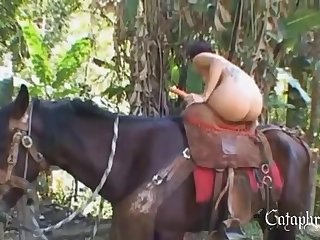 Free Animal Sex Vedio