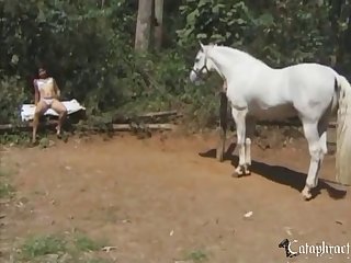 Free Farm Animal Sex Videos