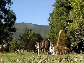 K9lady Zoo Porn