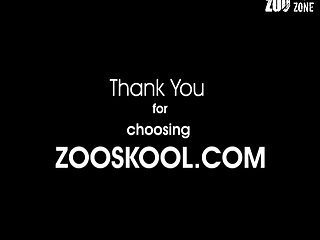 Animal Xx