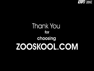 Animal Xx