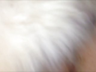 Dog Dog Sex