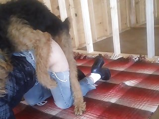 Comendo Égua