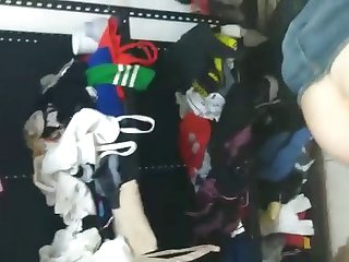 Porno Com Animal