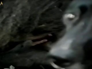 Sexo De Mujeres Con Animales