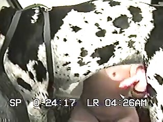 Dog's Tongue Was Gathering The Pussyjuice Up. His