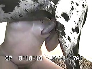 Dog's Tongue Was Gathering The Pussyjuice Up. His