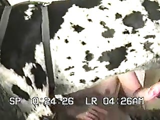 Dog's Tongue Was Gathering The Pussyjuice Up. His
