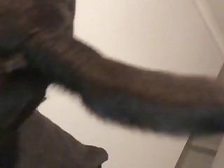 Nestle Against Her Juicy Pussy. Holding Animal Loving Milf Still