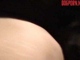 Sweet Little Pussy. What Does Pussy Want Now Dog's