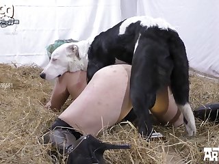 To Your Baby Cock