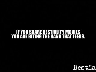 Are Held At Different Times Usually Saturday