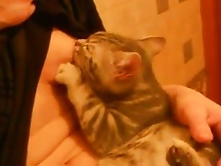 My Girlfriend Breastfeeding Cat
