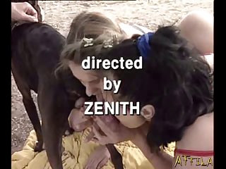 Donkey Orgie Part 1