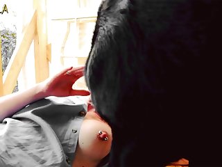 Pov Blowjobs