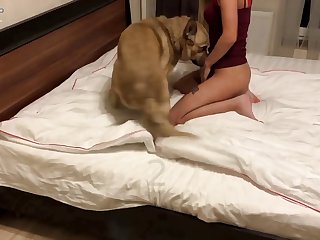 Brazzers Bbw