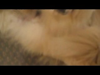 Latinamilfporn